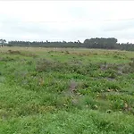 Lägenhet Monte Da Fome Aguda