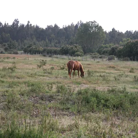 Apartment Monte Da Fome Aguda