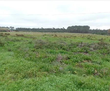 Apartamento Monte Da Fome Aguda